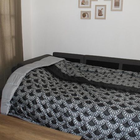 Bel Appartement T2 卡尔卡松 外观 照片
